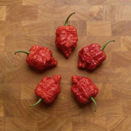 Dragon's Breath, Pepper Seeds - Packet image number null